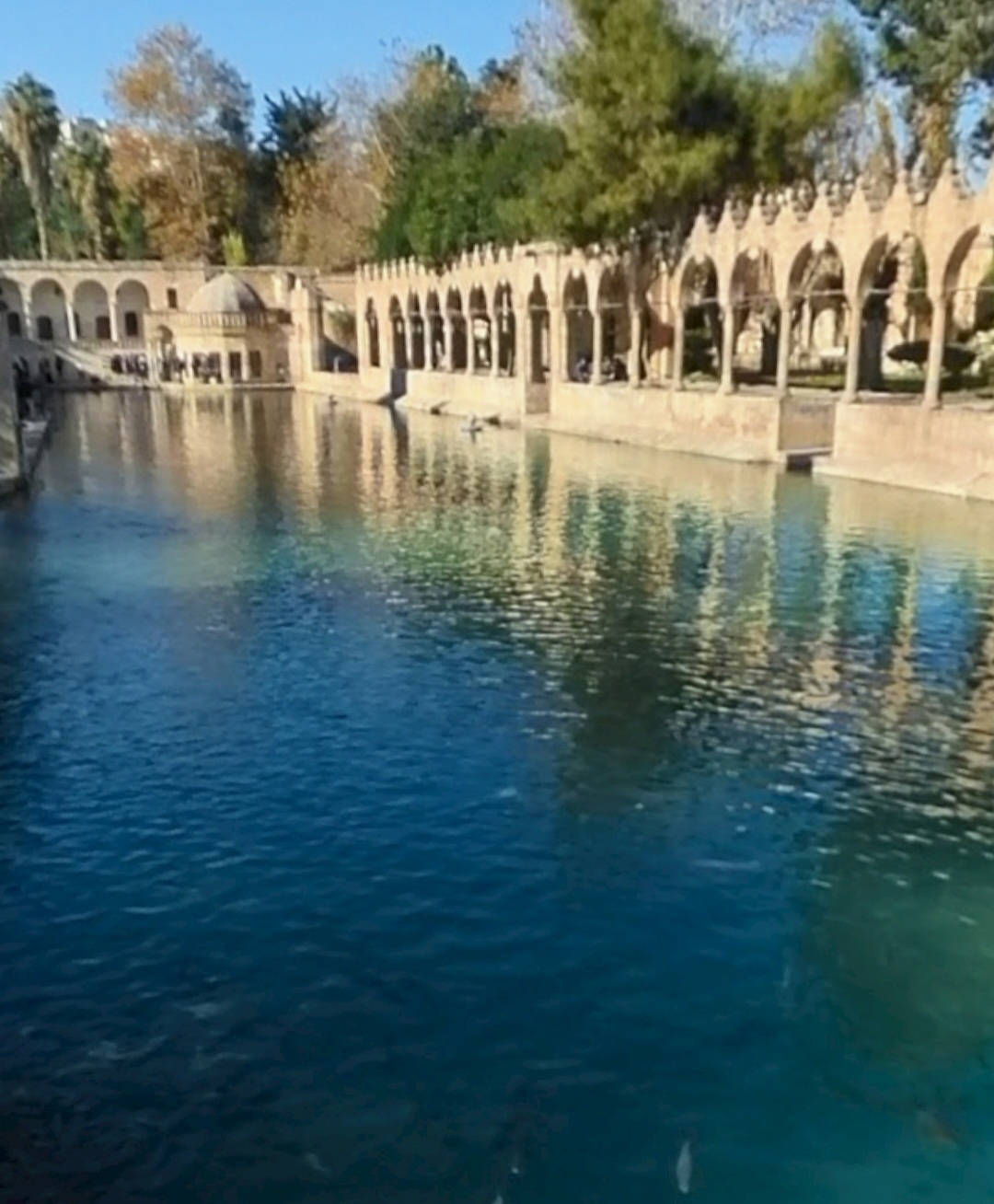 Balıklıgöl